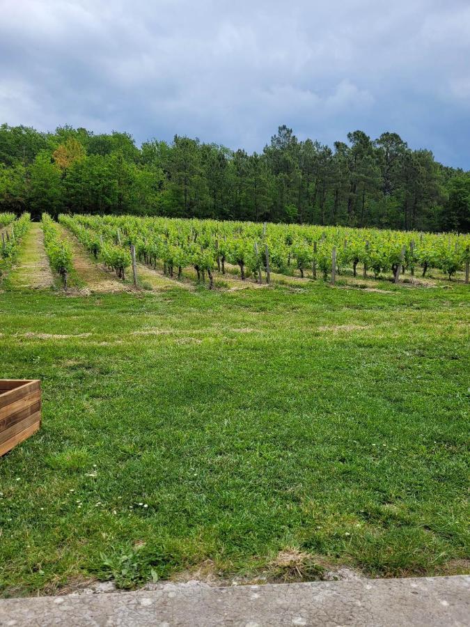 A L'Ombre De La Treille -Proche Saint-Emilion Bed & Breakfast Ngoại thất bức ảnh